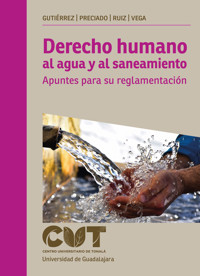 Derecho humano al agua y al saneamiento - Raquel Gutiérrez Nájera - ebook