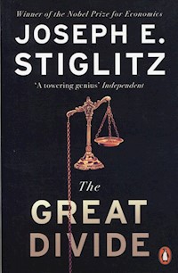 The Great Divide - Stiglitz Joseph - książka