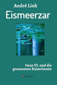 Eismeerzar - André Link - ebook