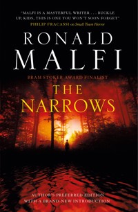 The Narrows - Ronald Malfi - ebook