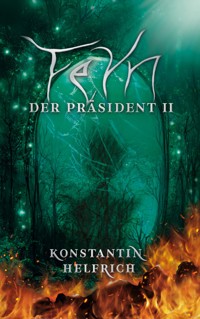 Feyn 2 - Konstantin Helfrich - ebook