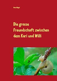 Die große Freundschaft zwischen dem Kari und Willi - Hans Hüppi - ebook