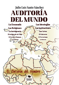 Auditoría del mundo - Julio Luis Santo Sánchez - ebook