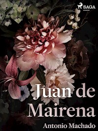 Juan de Mairena - Antonio Machado - ebook