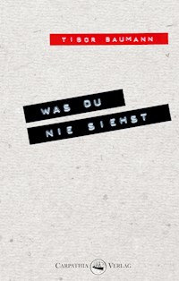 Was du nie siehst - Tibor Baumann - ebook