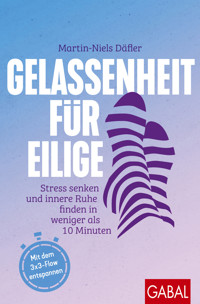 Gelassenheit für Eilige - Martin-Niels Däfler - ebook