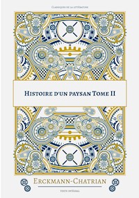 Histoire d'un paysan - Erckmann-Chatrian - ebook