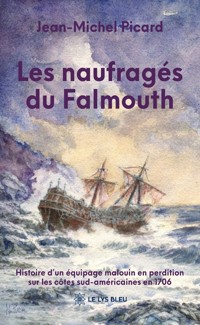 Les naufragés du Falmouth - Jean-Michel Picard - ebook