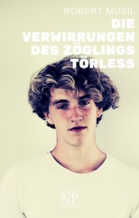 Die Verwirrungen des Zöglings Törless - Robert Musil - ebook