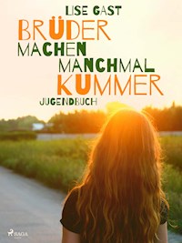 Brüder machen manchmal Kummer - lise  gast  - ebook