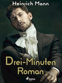 Drei-Minuten-Roman - Heinrich Mann - ebook