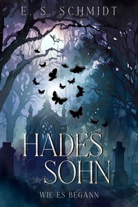 Hadessohn - wie es begann - E. S. Schmidt - ebook