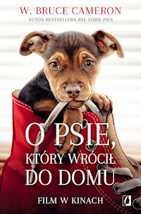 O psie, który wrócił do domu - W. Bruce Cameron - ebook + audiobook