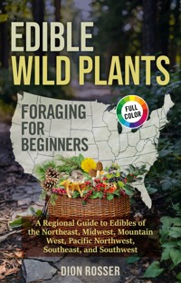 Edible Wild Plants Foraging for Beginners - Dion Rosser - ebook