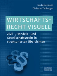 Wirtschaftsrecht visuell - Jan Lostermann - ebook