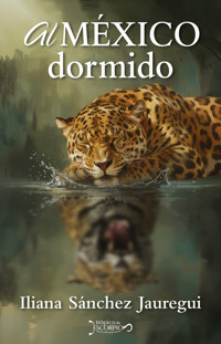 Al México dormido - Iliana Sánchez Jauregui - ebook