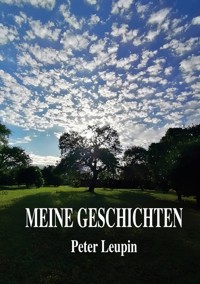 Meine Geschichten - Peter Leupin - ebook
