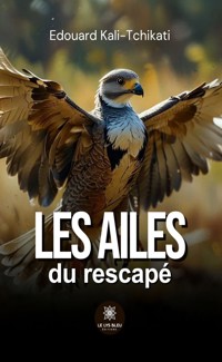 Les ailes du rescapé - Edouard Kali-Tchikati - ebook