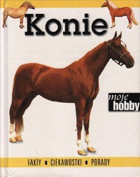 Moje hobby. Konie - Rebecca Kingsley - ebook