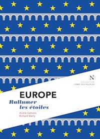 Europe - André Gattolin - ebook