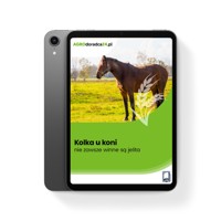 Kolka u koni – nie zawsze winne są jelita - Kinga Szczepanik - ebook