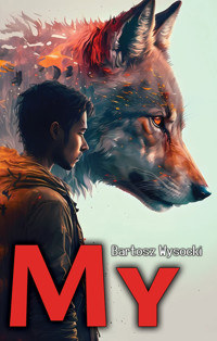 My - Wysocki Bartosz - książka