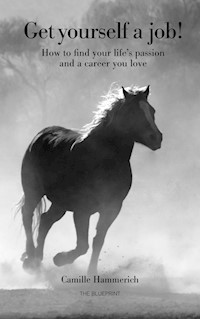 Get yourself a job - Camille Hammerich - ebook