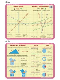 Podkładka edukacyjna 030 - Matematyka. Twierdzenie Pitagorasa, okrąg i koło, funkcja liniowa, własności funkcji liniowej -  - książka