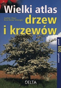 Wielki atlas drzew i krzewów - Mayer Joachim, Schwegler Heinz-Werner - książka
