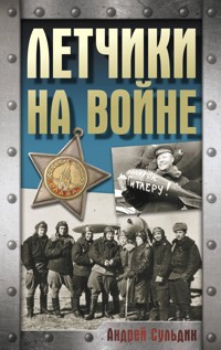 Летчики на войне - Сульдин Андрей - ebook