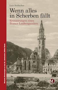 Wenn alles in Scherben fällt - Luis Seebacher - ebook
