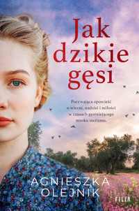 Jak dzikie gęsi - Agnieszka Olejnik - ebook + audiobook + książka