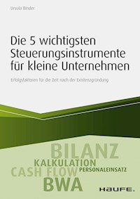 Die 5 wichtigsten Steuerungsinstrumente für kleine Unternehmen - Ursula Binder - ebook