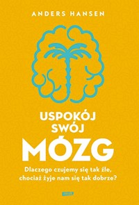 Uspokój swój mózg - Hansen Anders - ebook + książka