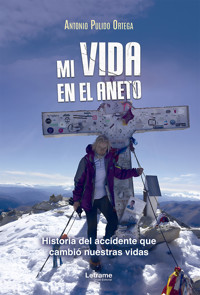 Mi vida en el aneto - Antonio Pulido Ortega - ebook