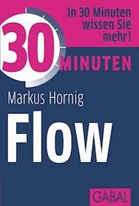 30 Minuten Flow - Markus Hornig - ebook