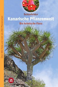 Kanarische Pflanzenwelt - Peter Schönfelder - ebook