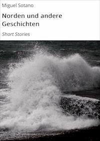 Norden und andere Geschichten - Miguel Sotano - ebook