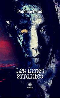 Les âmes errantes - Paul Lachaud - ebook