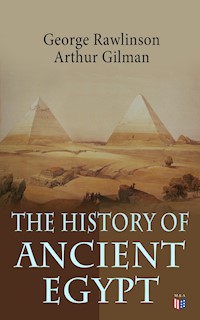 The History of Ancient Egypt - Rawlinson George - ebook