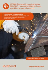 Preparación previa al soldeo MIG/MAG y soldadura MAG de chapas y perfiles de acero al carbono. FMEC0119_2 - Joaquín González Pérez - ebook