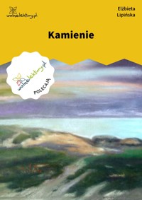 Kamienie - Lipińska Elżbieta - ebook + książka
