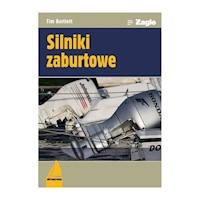 Silniki zaburtowe - Bartlett Tim - książka