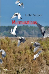 Murmurations - Lielie Sellier - ebook