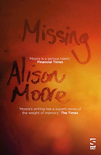 Missing - Alison Moore - ebook