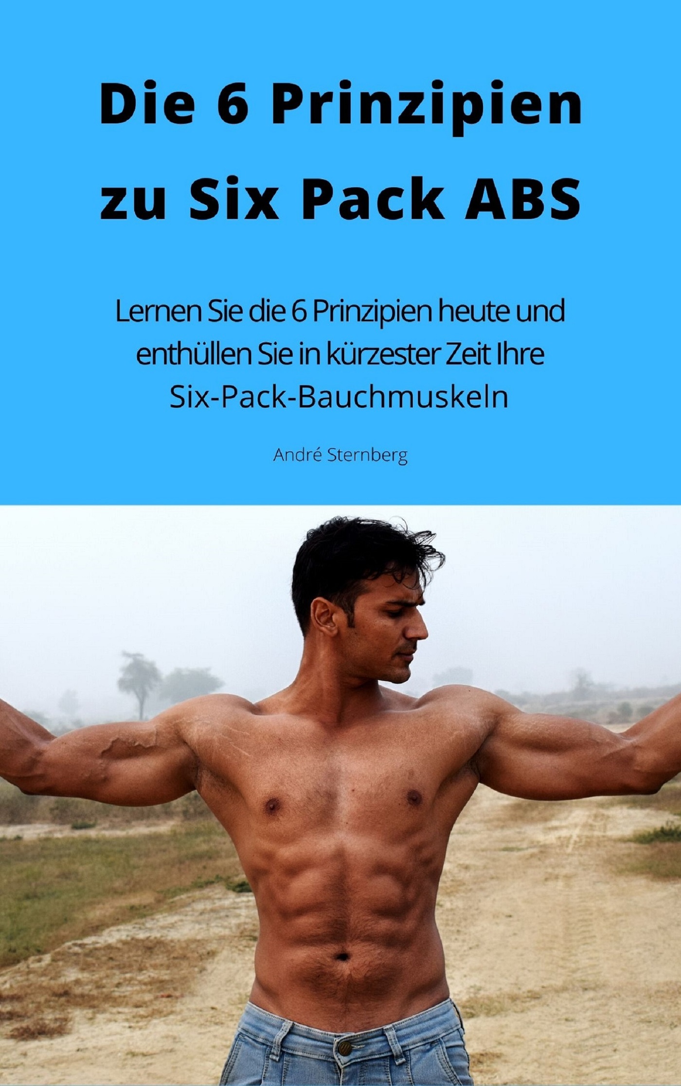 Die 6 Prinzipien zu Six Pack ABS - Andre Sternberg - ebook