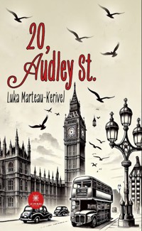 20, Audley St. - Luka Marteau-Kerivel - ebook