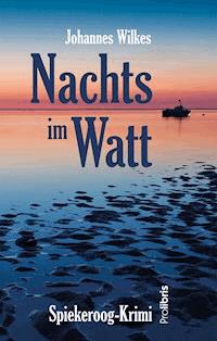 Nachts im Watt - Johannes Wilkes - ebook