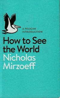 How to See the World - Nicholas Mirzoeff - książka