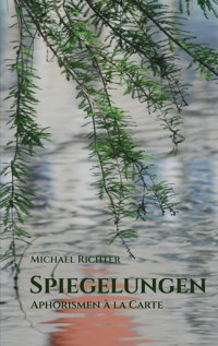 Spiegelungen - Michael Richter - ebook